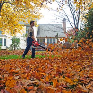 Blowing Leaves With Leaf Blower