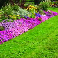 June Lawn & Garden Checklist