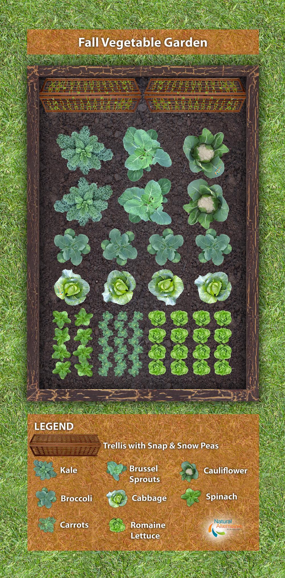 Fall Vegetable Garden Plan - Natural Alternative