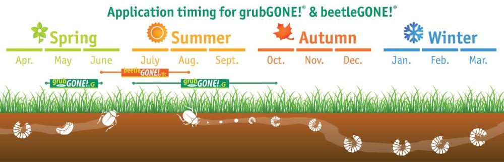 Application timing for grubGONE! & beetleGONE!