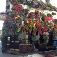 Flower baskets