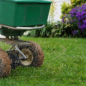 Grass spreader on lawn