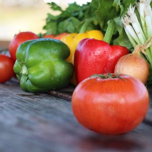 Salsa Ingredients