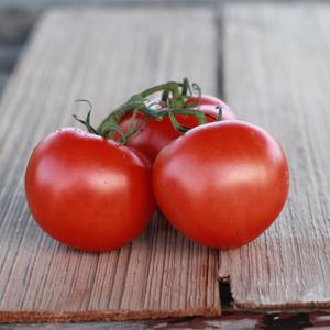 Tomatoes