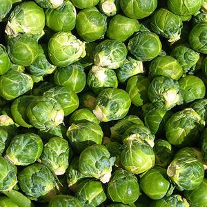 Brussel Sprouts