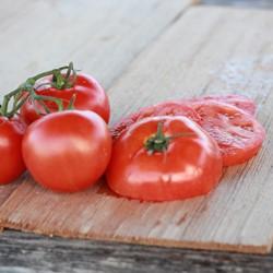 Sliced tomatoes