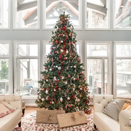 Protilizer for your Christmas Tree