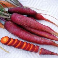 Dragon Carrots