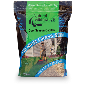 Cool Season Cadillac Grass Seed