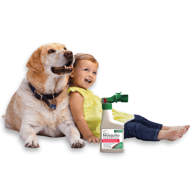 Dog and child with Mosquito, Tick and Flea Control